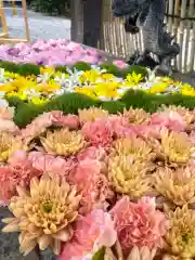 長良神社(群馬県)