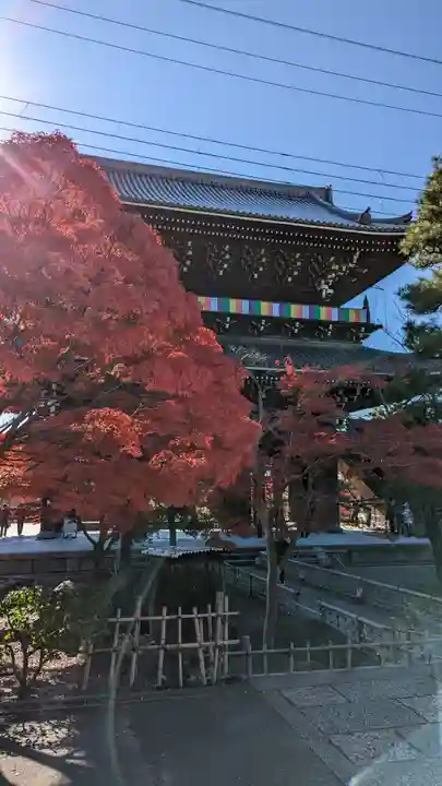 くろ谷 金戒光明寺(京都府)