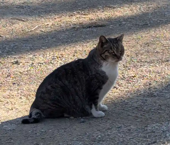 阿邪訶根神社(福島県)