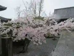 穴太寺(京都府)