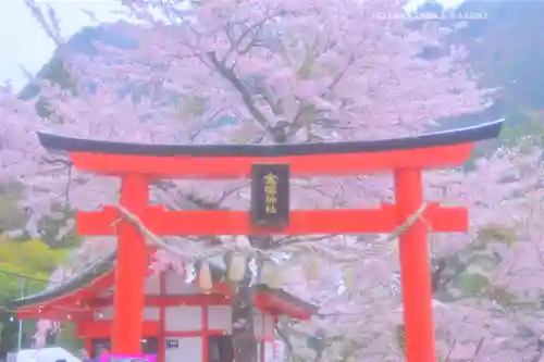 金櫻神社(山梨県)