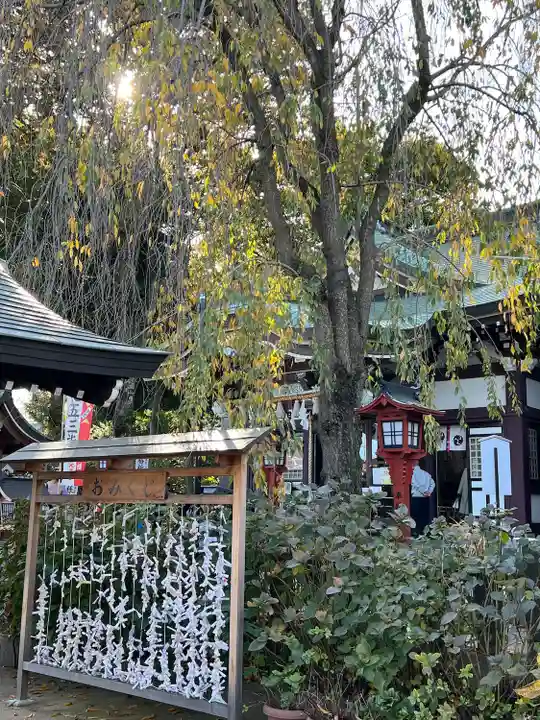 川越八幡宮(埼玉県)