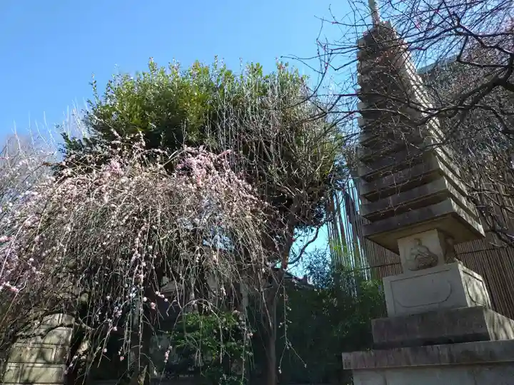 新井薬師(梅照院)(東京都)