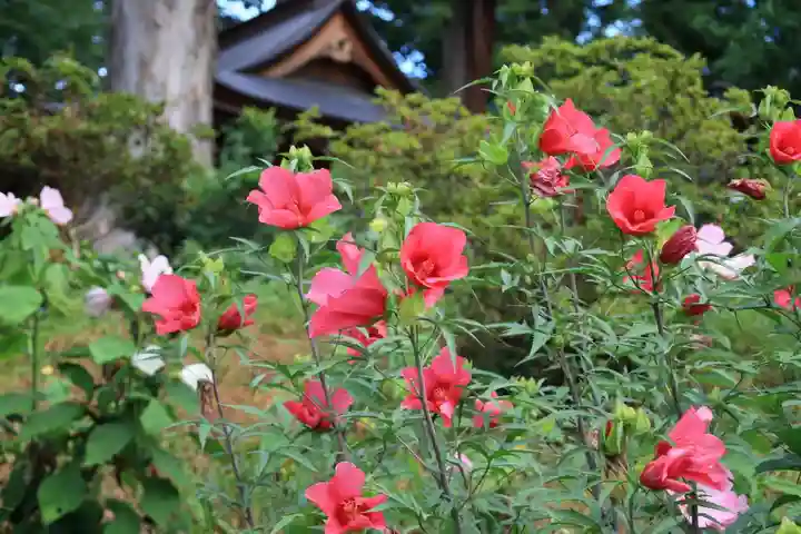 阿久津「田村神社」(郡山市阿久津町)旧社名:伊豆箱根三嶋三社の庭園