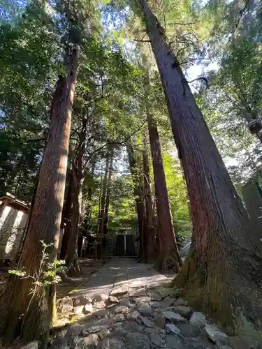 萩日吉神社(埼玉県)