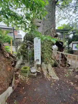 八幡宮 (上羽田町)(栃木県)