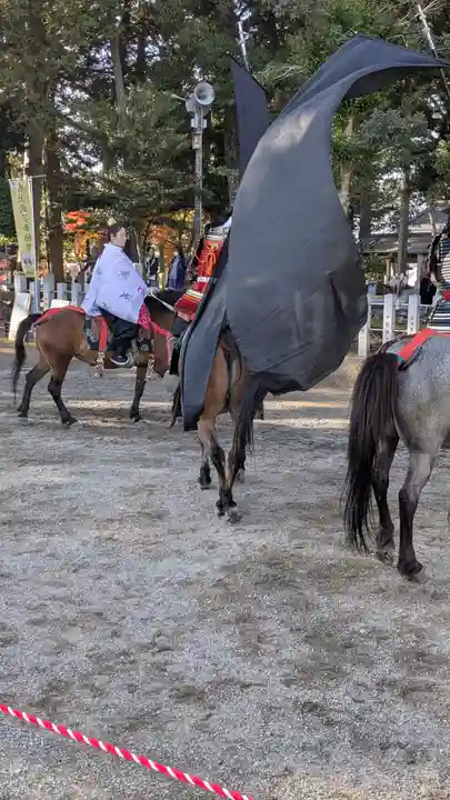 賀茂神社(滋賀県)