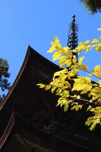 国宝 大法寺の塔