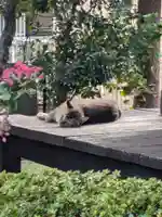 浄心寺(東京都)