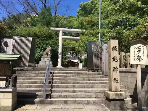 堀越神社の鳥居