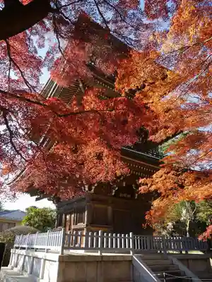 道場寺の塔