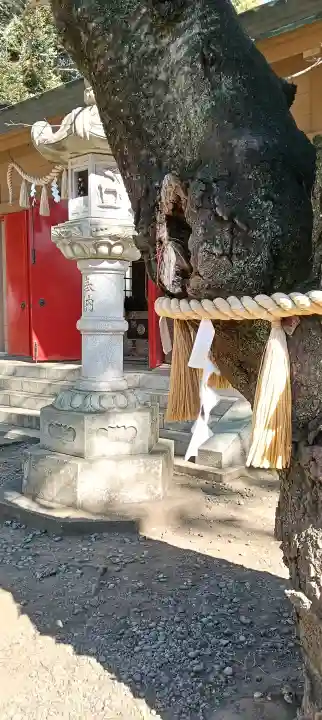 前原御嶽神社の{uncategorized: "未分類", other: "その他", undefined: "問題あり", building: "その他建物", grave: "お墓", sacred_gate: "鳥居", guardian: "狛犬", statue: "像", buddha: "仏像", history: "歴史", nature: "自然", garden: "庭園", animal: "動物", pagoda: "塔", temizu: "手水舎", mountain_gate: "山門・神門", sanctuary: "本殿・本堂", subordinate: "末社・摂社", art: "芸術", scenery: "景色", jizo: "地蔵", ema: "絵馬", goshuin: "御朱印", omikuji: "おみくじ", items: "授与品その他", amulet: "お守り", goshuincho: "御朱印帳", eats: "食事", festival: "お祭り", votive_dance: "神楽", shichigosan: "七五三参", wedding: "結婚式", experience: "体験その他", initially: "初詣", around: "周辺", anti_infection: "感染症対策"}