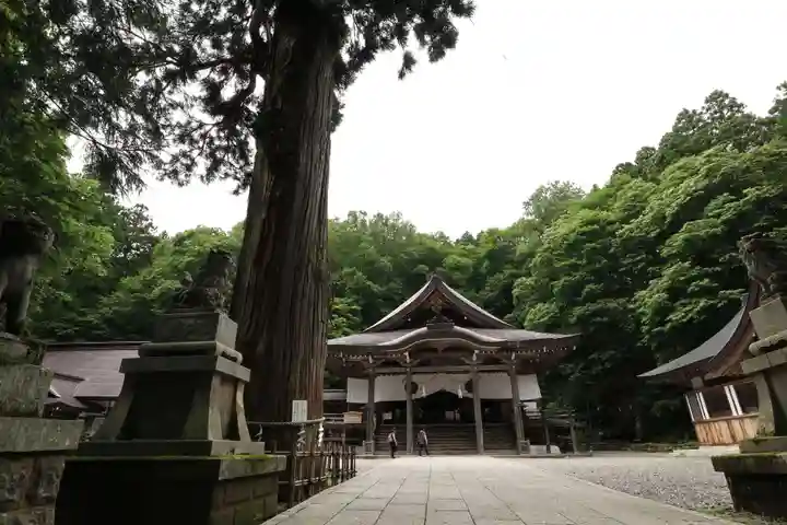 戸隠神社中社(長野県)