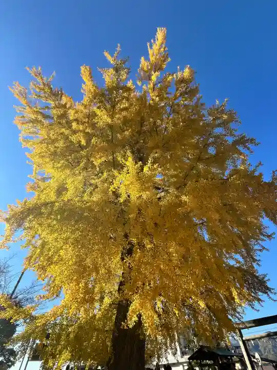 丹生酒殿神社(和歌山県)