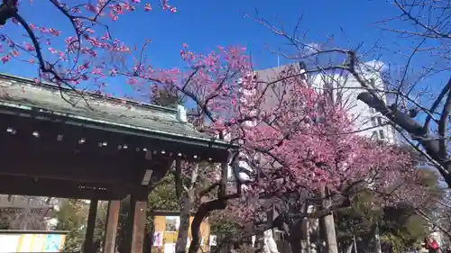 矢先稲荷神社の御朱印
