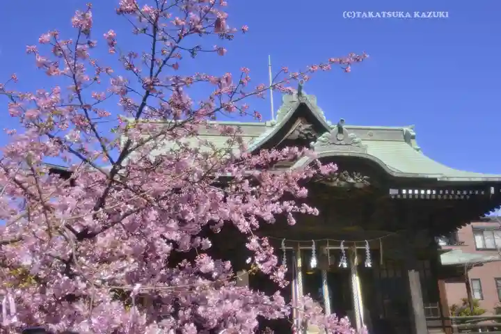 桜神宮(東京都)