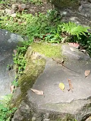 東霧島神社(宮崎県)