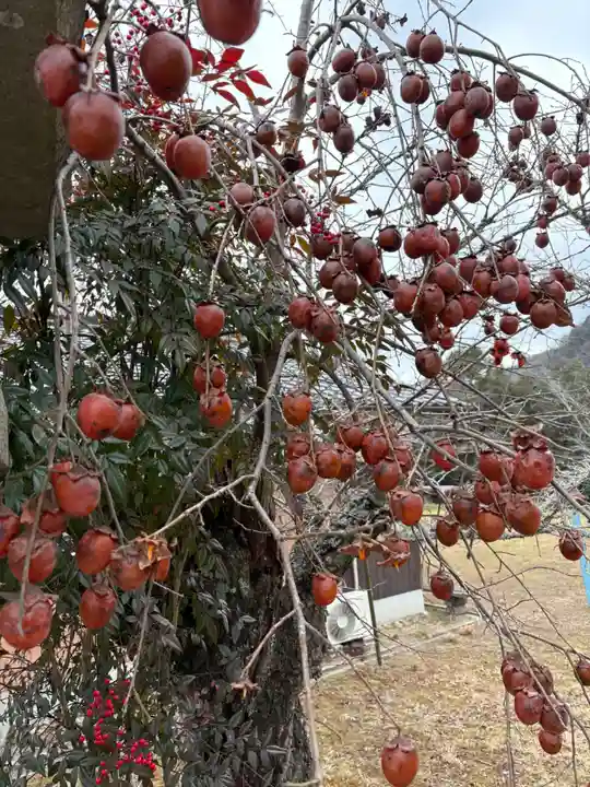 波豆八幡神社の自然