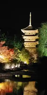 東寺(教王護国寺)の塔