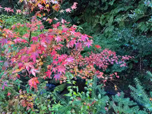 貴船神社結社(京都府)