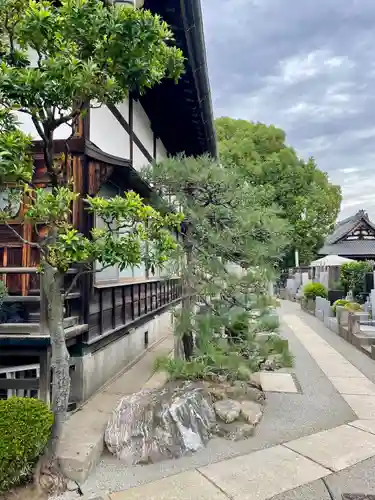 大泉寺(東京都)
