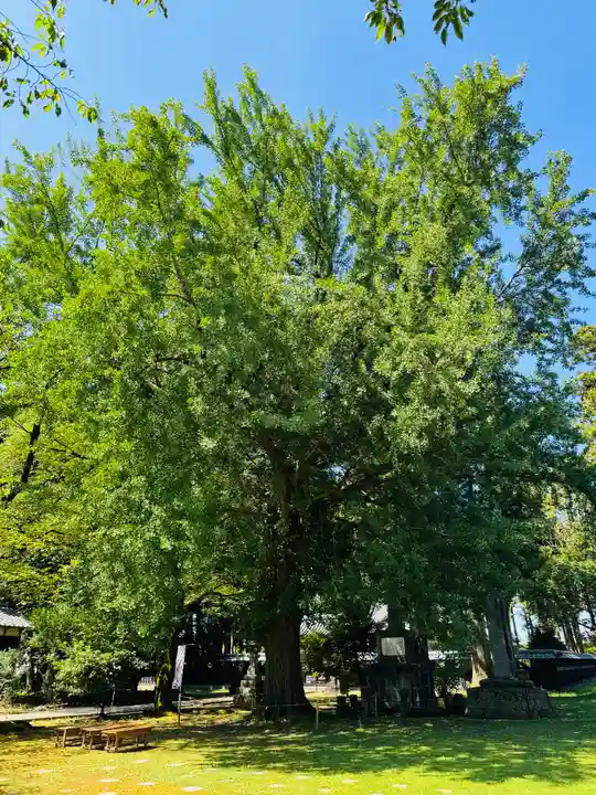 守りの神 藤基神社の庭園
