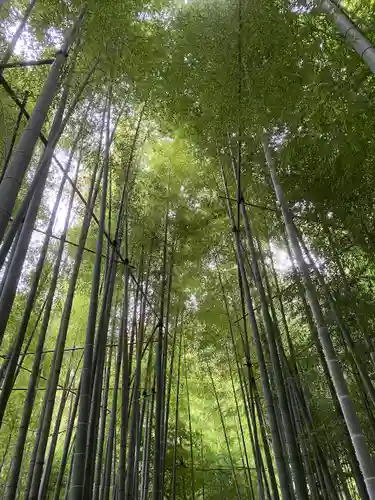報国寺(神奈川県)