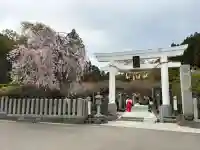 金蛇水神社の{uncategorized: "未分類", other: "その他", undefined: "問題あり", building: "その他建物", grave: "お墓", sacred_gate: "鳥居", guardian: "狛犬", statue: "像", buddha: "仏像", history: "歴史", nature: "自然", garden: "庭園", animal: "動物", pagoda: "塔", temizu: "手水舎", mountain_gate: "山門・神門", sanctuary: "本殿・本堂", subordinate: "末社・摂社", art: "芸術", scenery: "景色", jizo: "地蔵", ema: "絵馬", goshuin: "御朱印", omikuji: "おみくじ", items: "授与品その他", amulet: "お守り", goshuincho: "御朱印帳", eats: "食事", festival: "お祭り", votive_dance: "神楽", shichigosan: "七五三参", wedding: "結婚式", experience: "体験その他", initially: "初詣", around: "周辺", anti_infection: "感染症対策"}