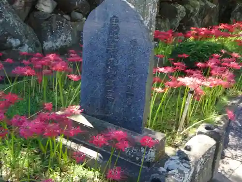 横浜　西方寺の自然