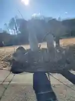 大塚神社(飛駒町)(栃木県)