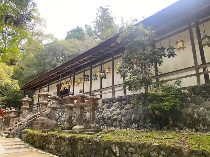 春日大社 若宮(春日若宮)の{uncategorized: "未分類", other: "その他", undefined: "問題あり", building: "その他建物", grave: "お墓", sacred_gate: "鳥居", guardian: "狛犬", statue: "像", buddha: "仏像", history: "歴史", nature: "自然", garden: "庭園", animal: "動物", pagoda: "塔", temizu: "手水舎", mountain_gate: "山門・神門", sanctuary: "本殿・本堂", subordinate: "末社・摂社", art: "芸術", scenery: "景色", jizo: "地蔵", ema: "絵馬", goshuin: "御朱印", omikuji: "おみくじ", items: "授与品その他", amulet: "お守り", goshuincho: "御朱印帳", eats: "食事", festival: "お祭り", votive_dance: "神楽", shichigosan: "七五三参", wedding: "結婚式", experience: "体験その他", initially: "初詣", around: "周辺", anti_infection: "感染症対策"}