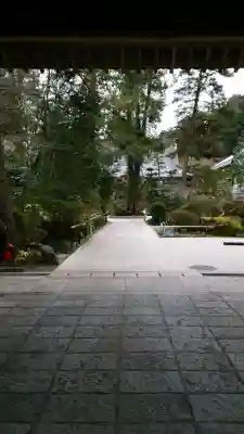 瑞鳳寺の{uncategorized: "未分類", other: "その他", undefined: "問題あり", building: "その他建物", grave: "お墓", sacred_gate: "鳥居", guardian: "狛犬", statue: "像", buddha: "仏像", history: "歴史", nature: "自然", garden: "庭園", animal: "動物", pagoda: "塔", temizu: "手水舎", mountain_gate: "山門・神門", sanctuary: "本殿・本堂", subordinate: "末社・摂社", art: "芸術", scenery: "景色", jizo: "地蔵", ema: "絵馬", goshuin: "御朱印", omikuji: "おみくじ", items: "授与品その他", amulet: "お守り", goshuincho: "御朱印帳", eats: "食事", festival: "お祭り", votive_dance: "神楽", shichigosan: "七五三参", wedding: "結婚式", experience: "体験その他", initially: "初詣", around: "周辺", anti_infection: "感染症対策"}