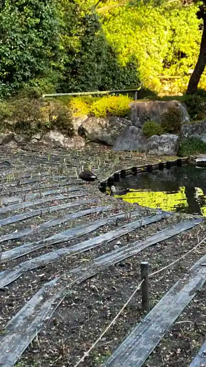 平安神宮(京都府)