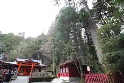 箱根神社のその他建物