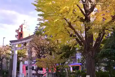 尾久八幡神社(東京都)