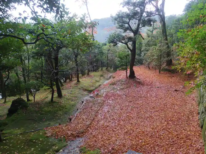 慈照寺(慈照禅寺・銀閣寺)の周辺