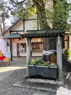 上目黒氷川神社の手水舎