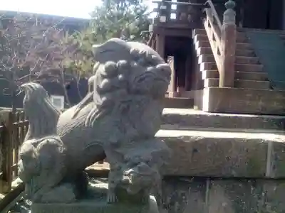 札幌神社の狛犬