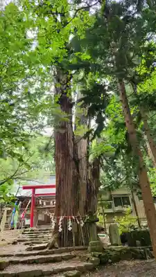 磐椅神社(福島県)