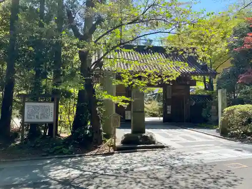 瑞鳳寺の山門