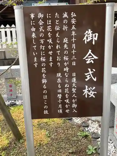 大坊本行寺の歴史