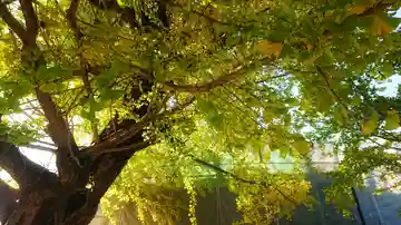 祐専寺の本殿・本堂