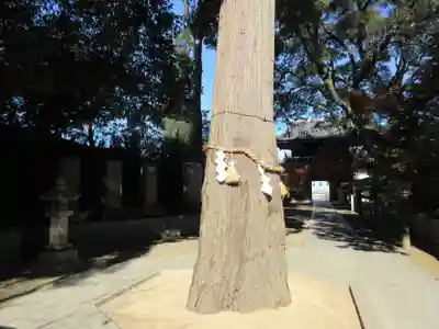 石鎚神社 口之宮 本社(愛媛県)