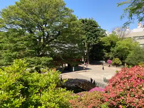 根津神社の景色