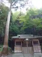 白山神社の本殿・本堂