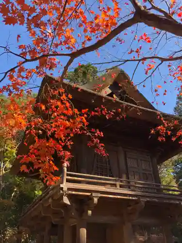 平林寺の本殿・本堂