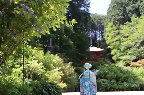 岩船寺(京都府)