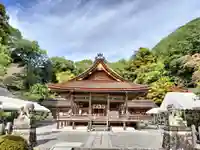 出雲大神宮の本殿・本堂