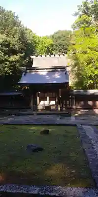 若狭彦神社（上社）の本殿・本堂