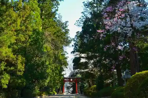 大崎八幡宮の建物その他